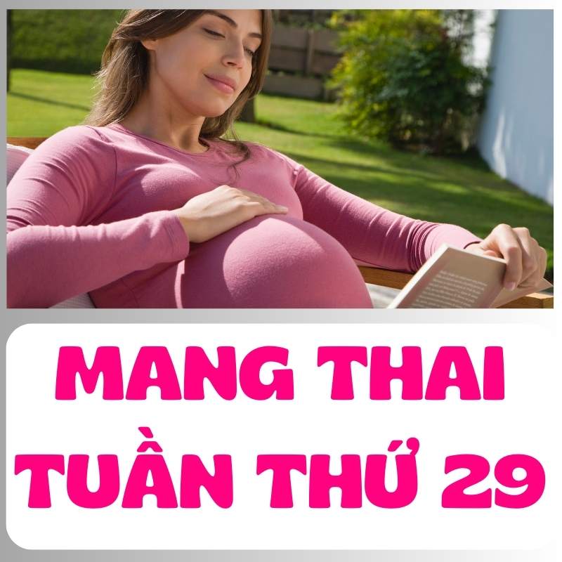 Mẹ bầu đọc sách khi mang thai tuần thứ 29